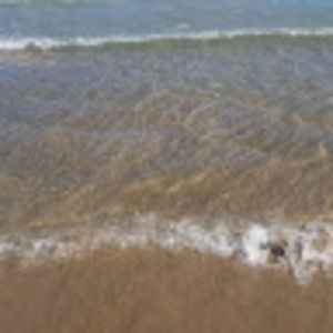 Meet your Posher, Lila